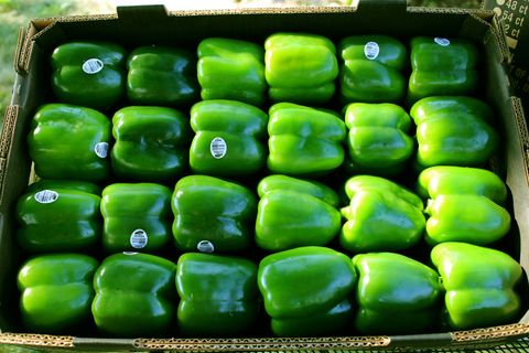 Green Bell Pepper at Whole Foods Market