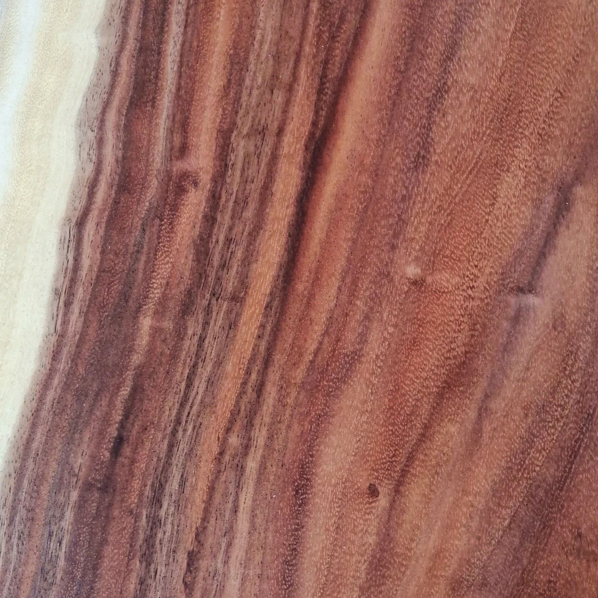 Table Exotique Brut Massif Tranche Arbre Type Suar