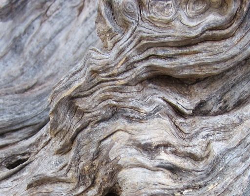 Kordels Mediation und Organisationsberatung