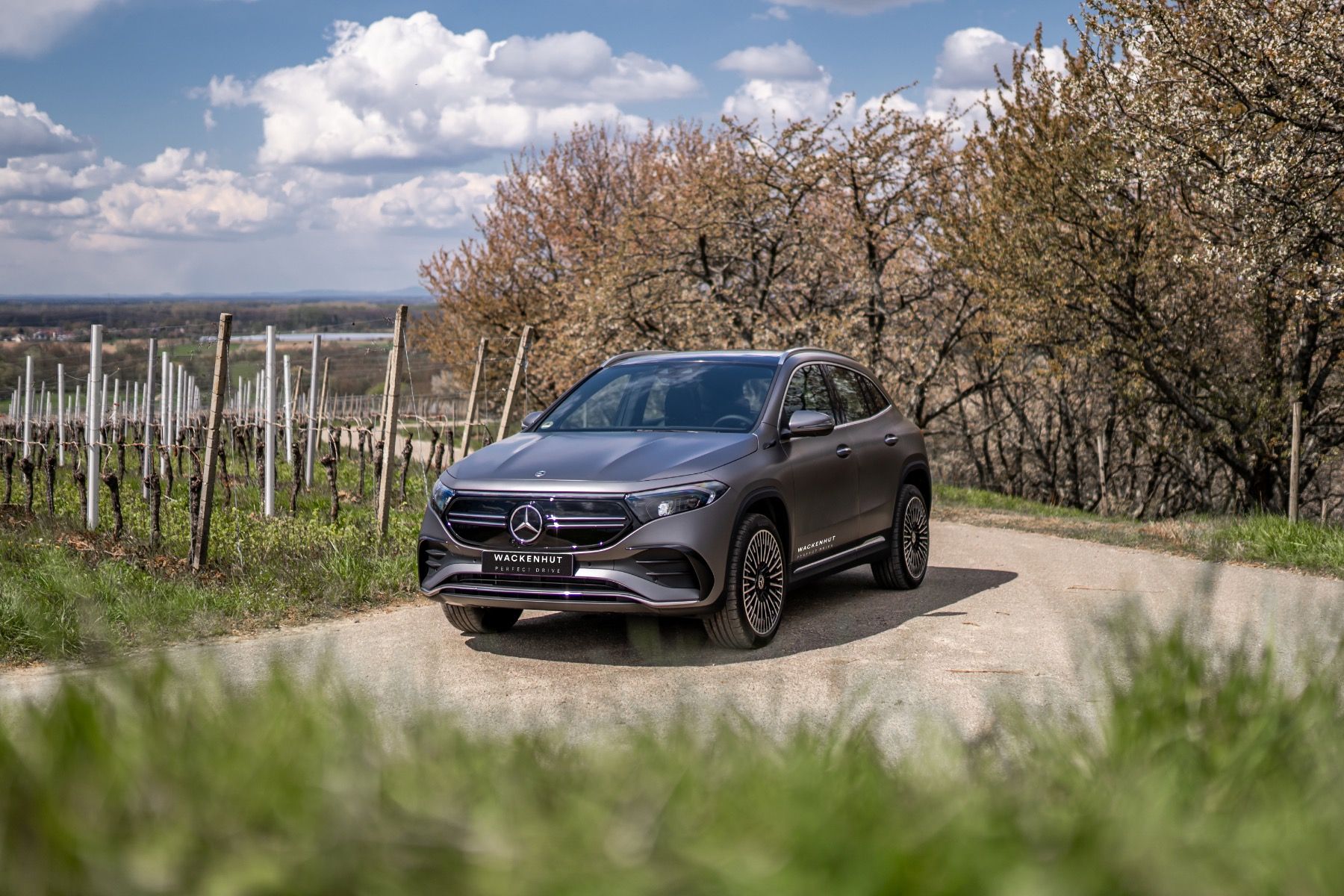 Baden-Baden WACKENHUT, Car rental, Teamaktivitäten, RentAdventure, NaturPur , Natur erleben, Schwarzwald entdecken, Explore Blackforest