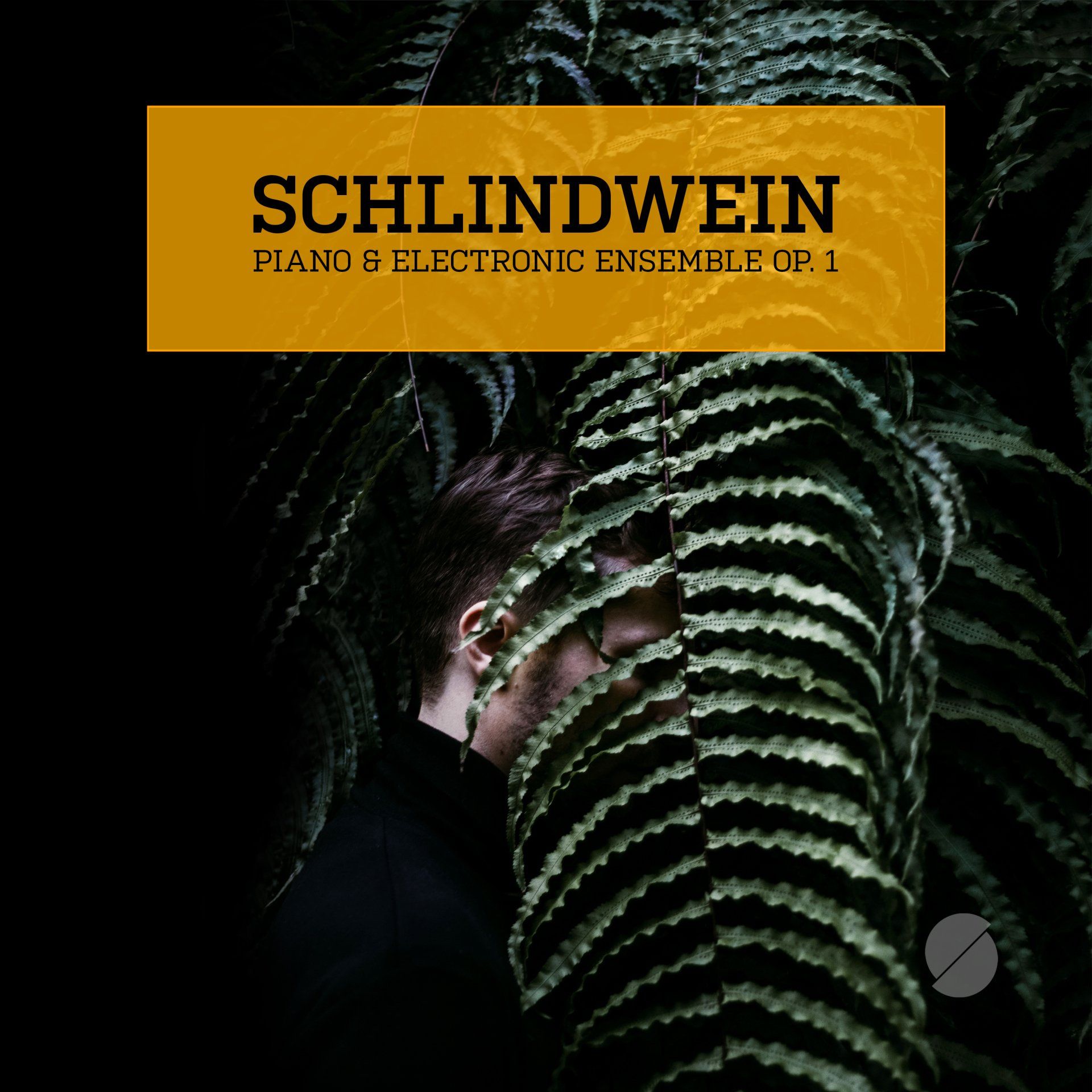 schlindwein paino & electronic ensemble op.1