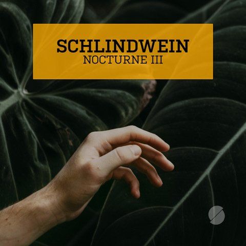 schlindwein paino & electronic ensemble op.1