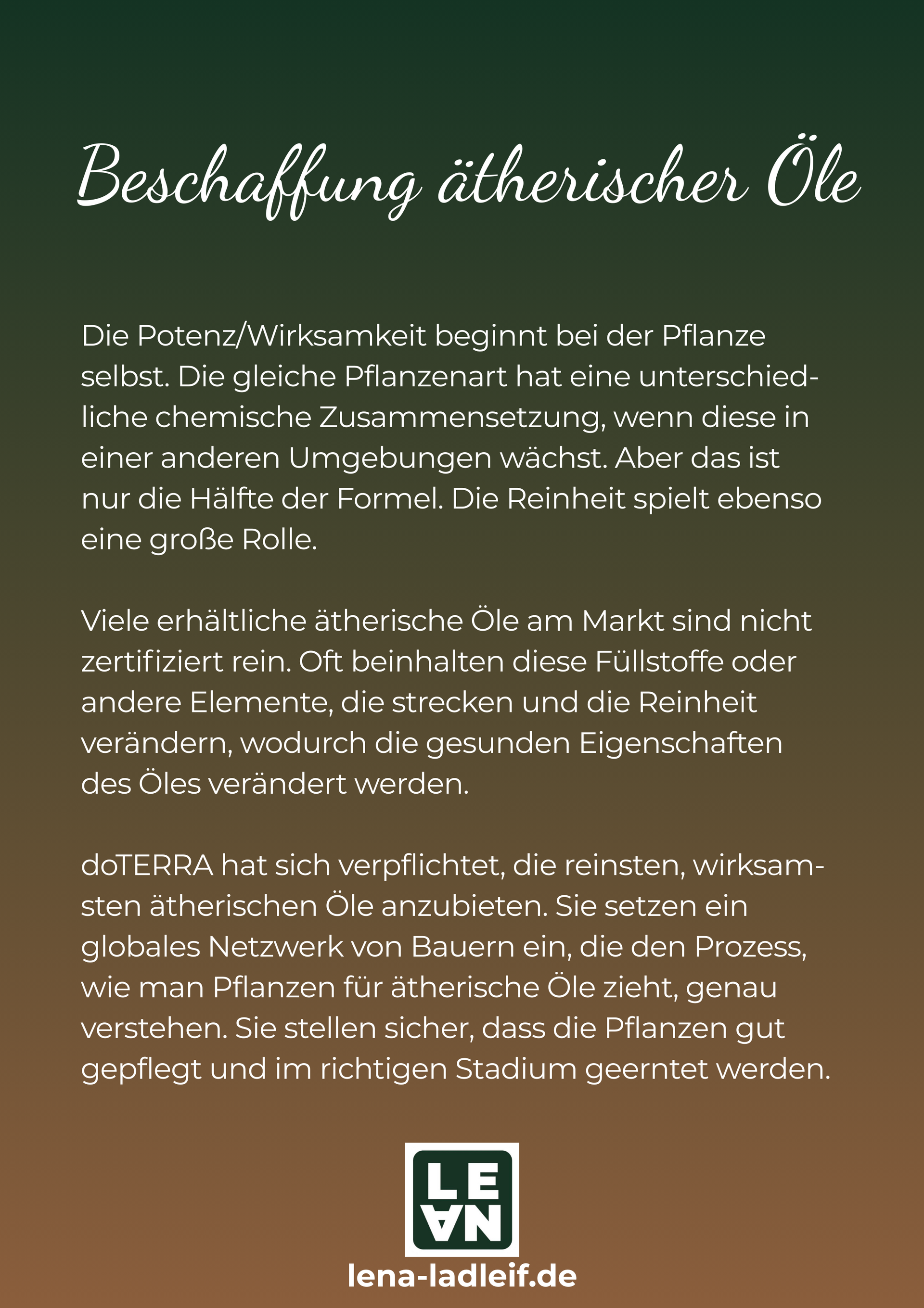 Einblick Ölguide Beschaffenheit der Öle