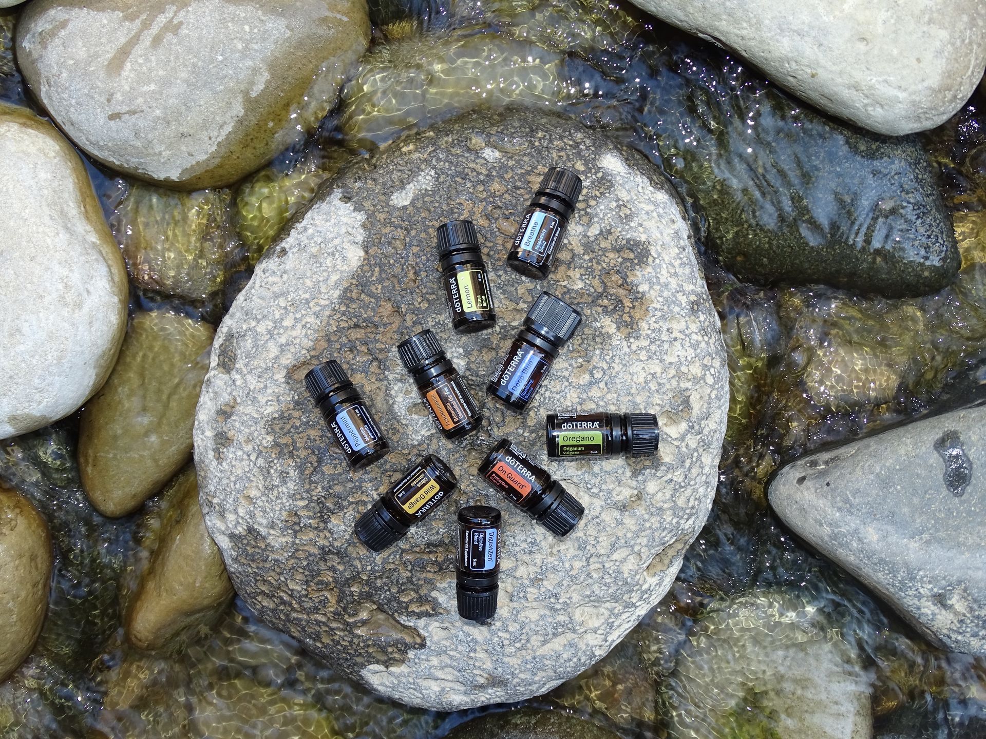 DoTerra-Öle auf einem Stein, umgeben von Wasser
