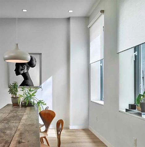 Lutron Shades | Blackout, Sheer, Translucent