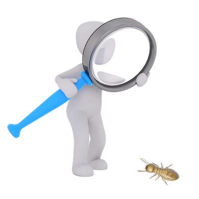 ¿Cómo detectar termitas?