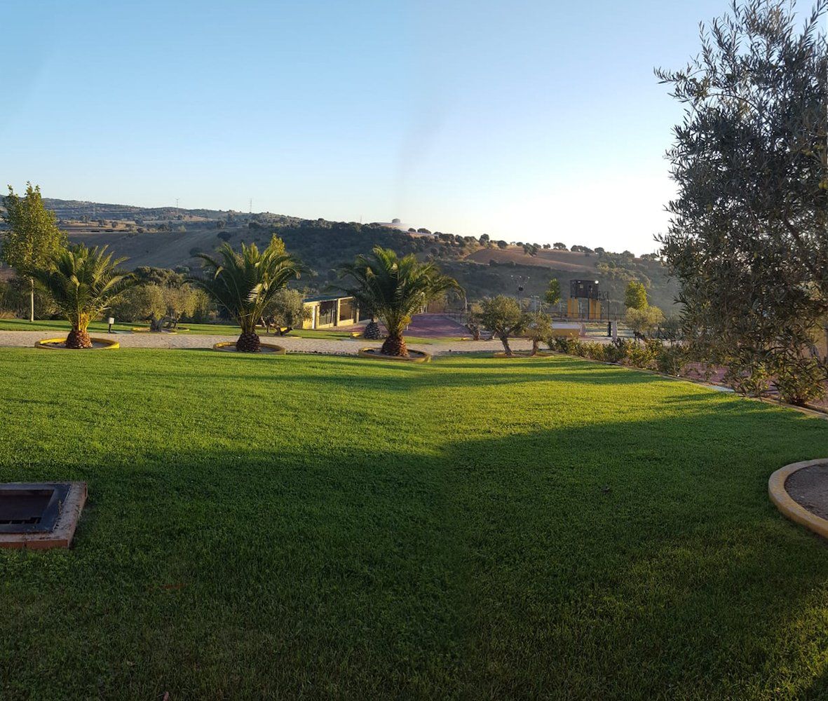 colcacion de cesped paisajismo