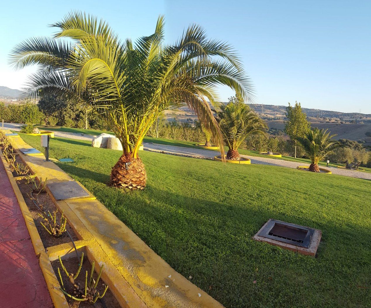jardineria poda y paisajismo