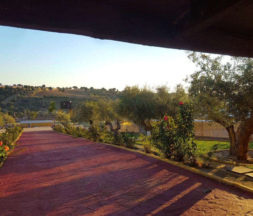 Trabajos de jardineria rosales