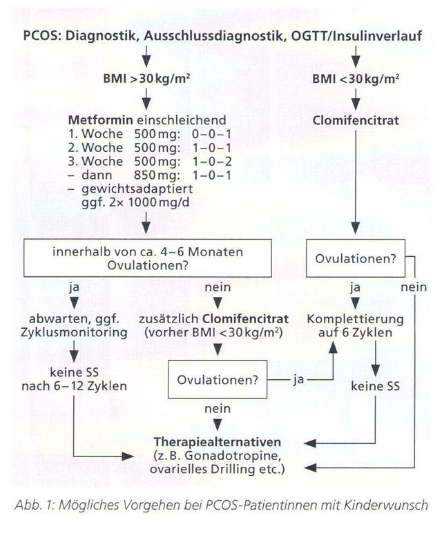 Metformin Pco Ohne Insulinresistenz