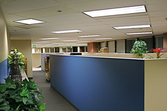 Commercial Painting - Interior - Colorado Faux Painting