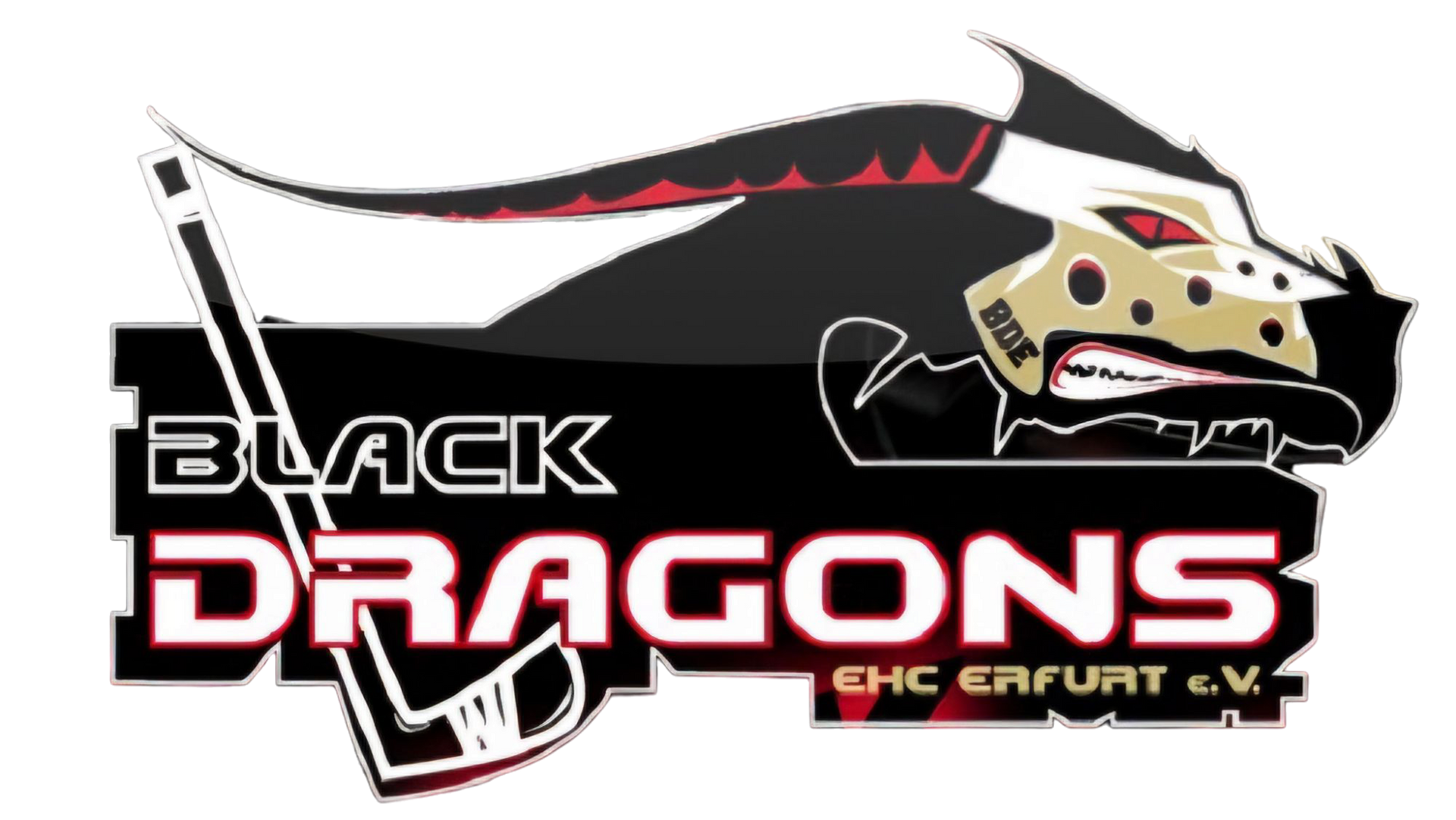 TecArt Black Dragons Erfurt TecArt Black Dragons Erfurt