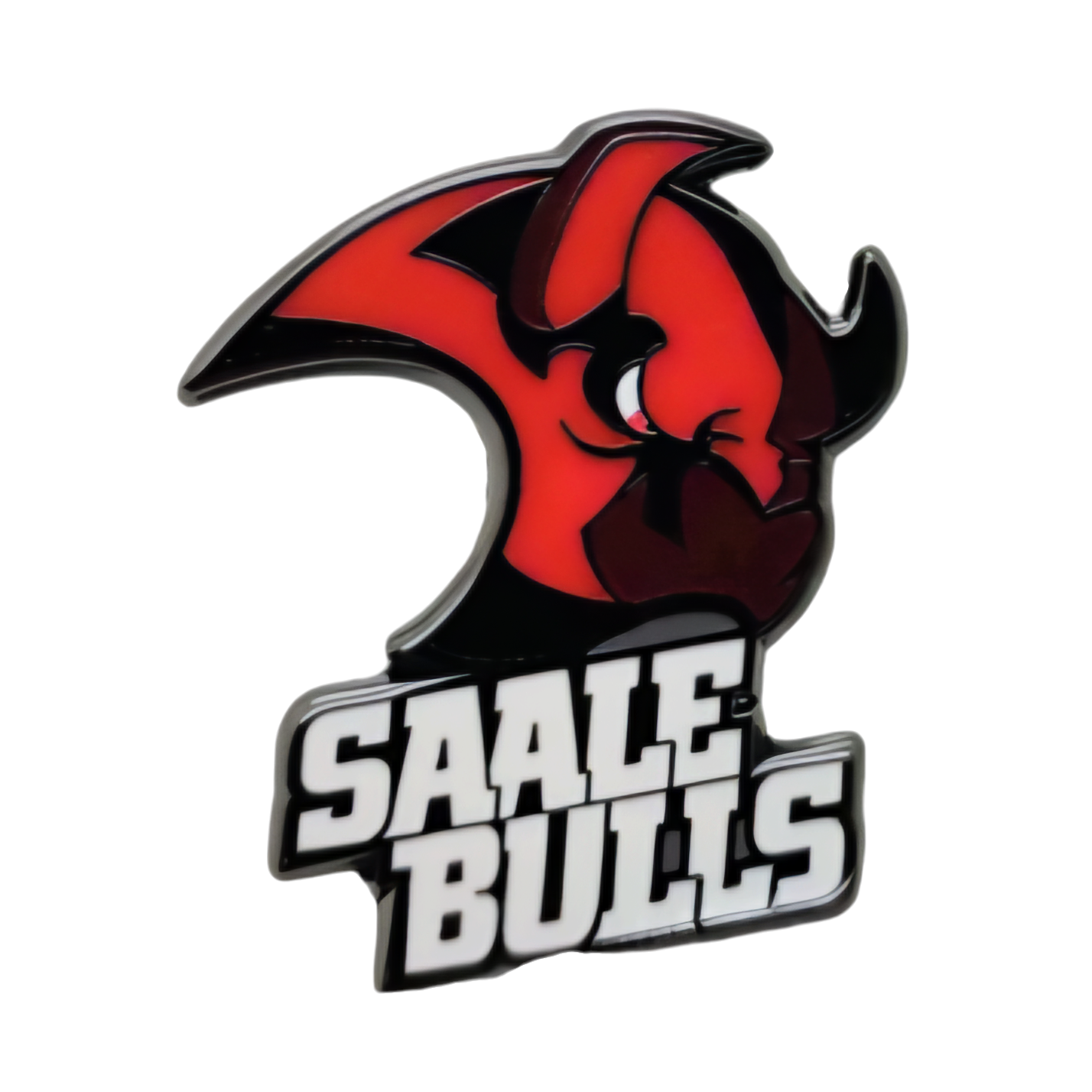 Saale Bulls Halle