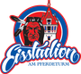 Eisstadion am Pferdeturm