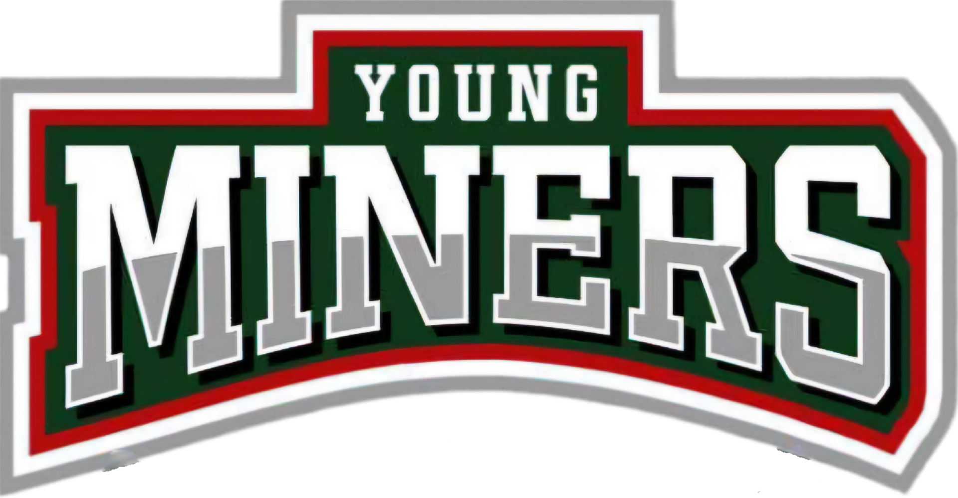 Young Miners - Allgemeines