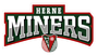 HERNER EV MINERS