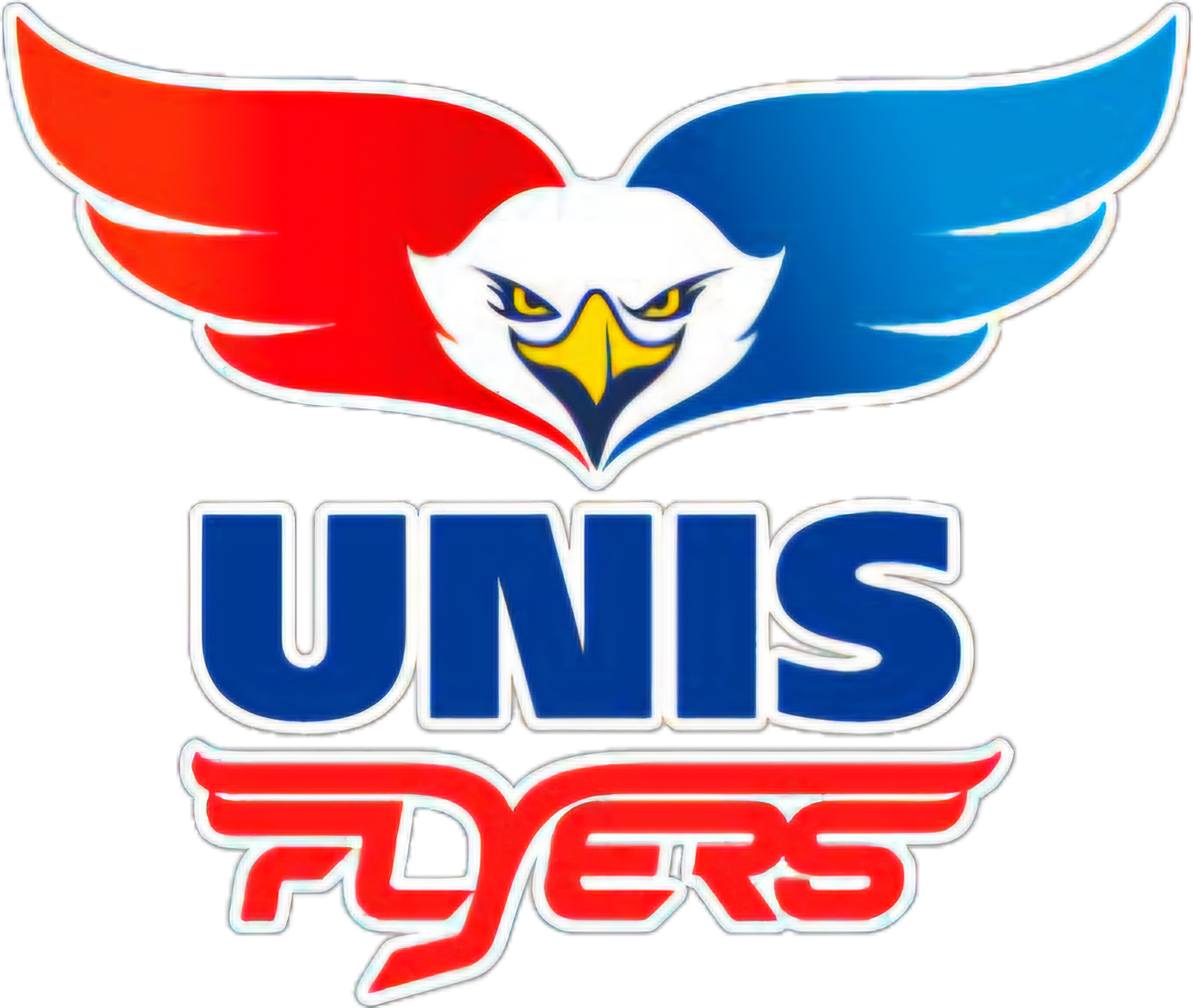 UNIS Flyers Heerenveen