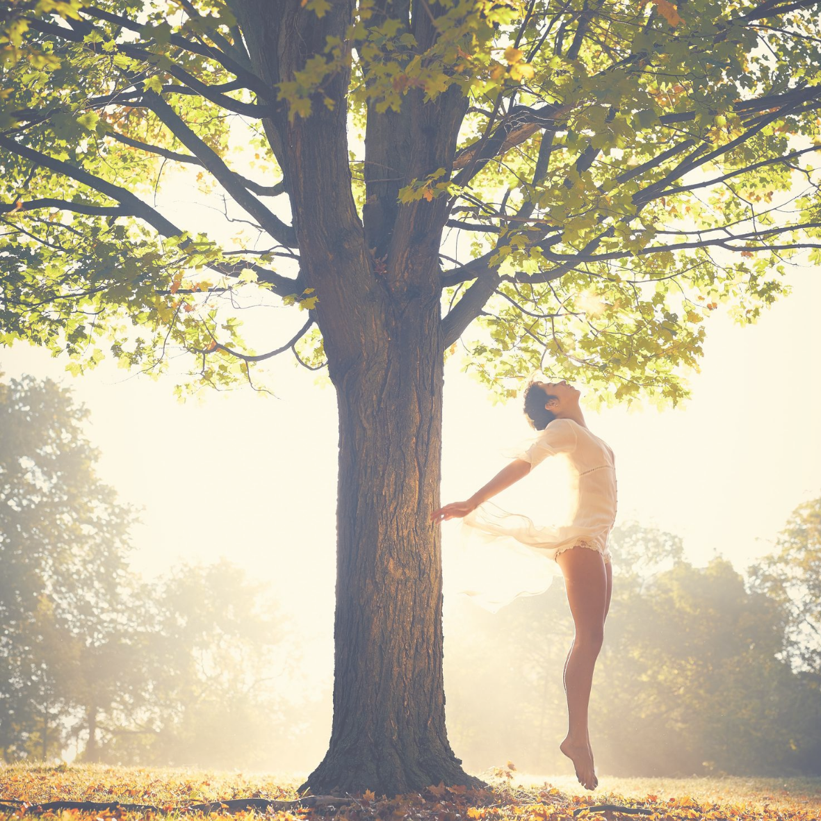 Mehr Energie im Alltag, wie tanke ich Energie, wie mehr Kraft finden, innere Kraft finden, energielos, antriebslos