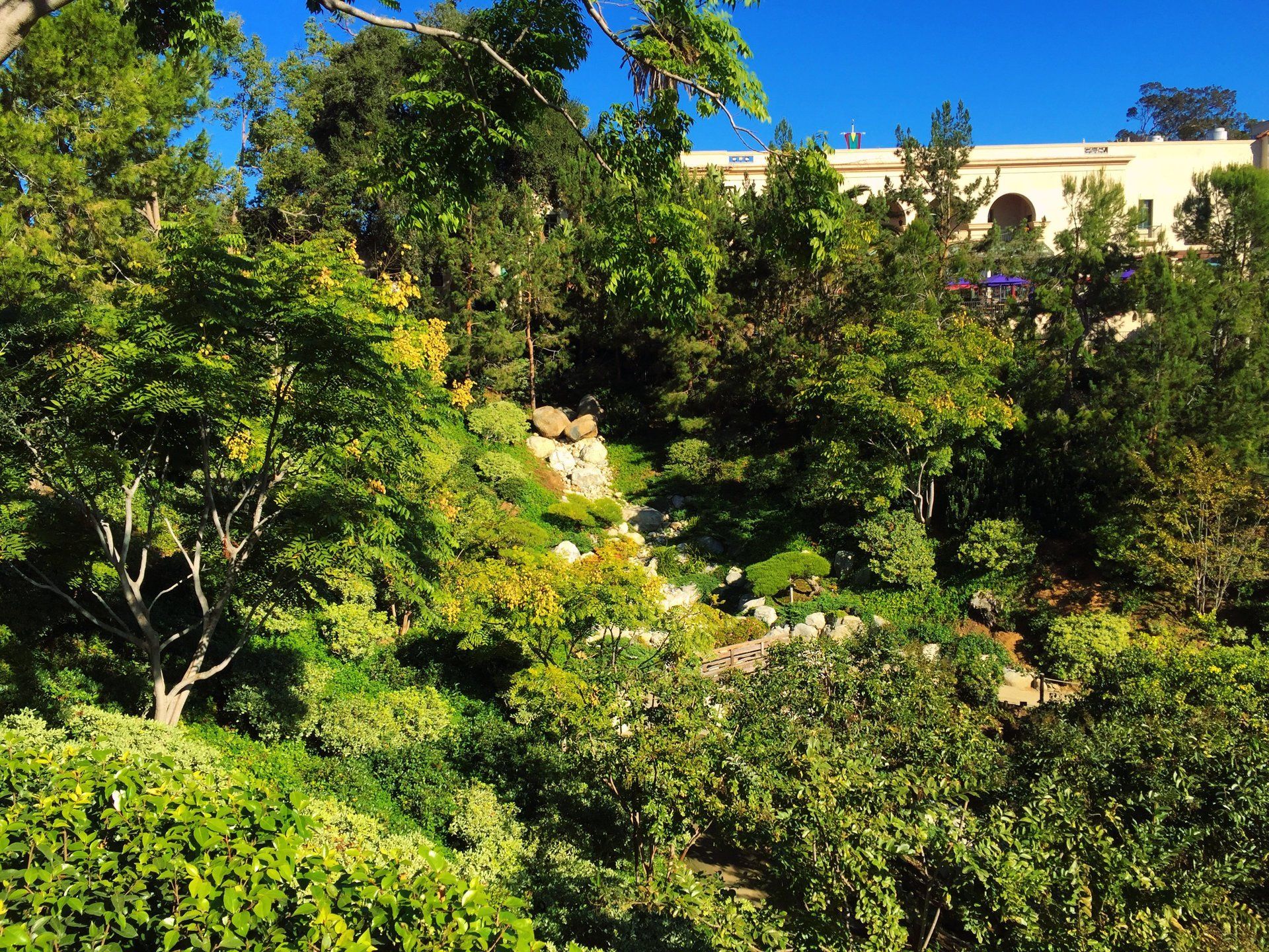 Japanese Friendship Garden