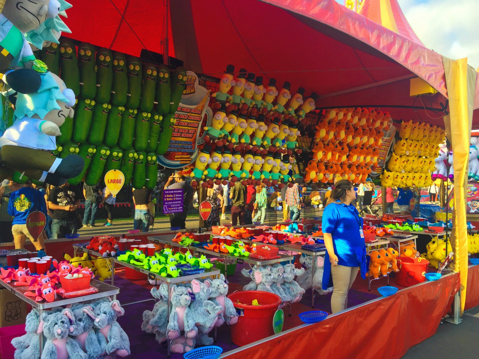 San Diego County Fair