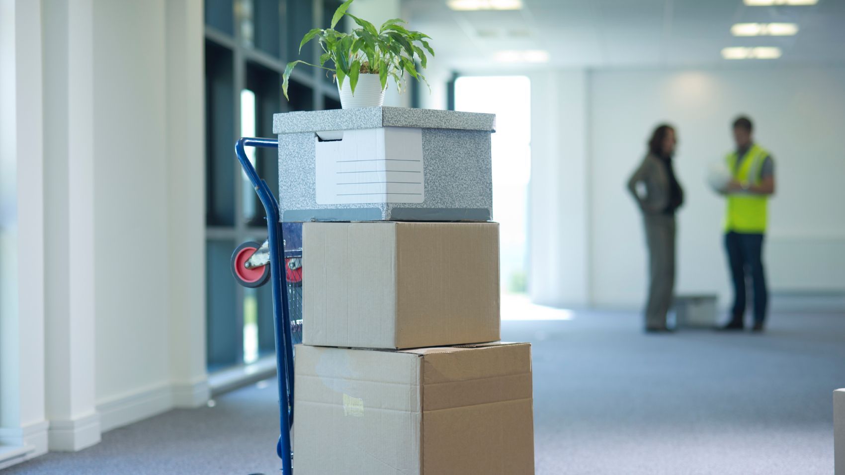 Commercial Removal Bedfordshire