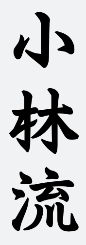 Shorin-Ryu Karate Aschaffenburg