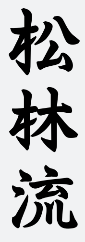 Shorin-Ryu Karate Aschaffenburg
