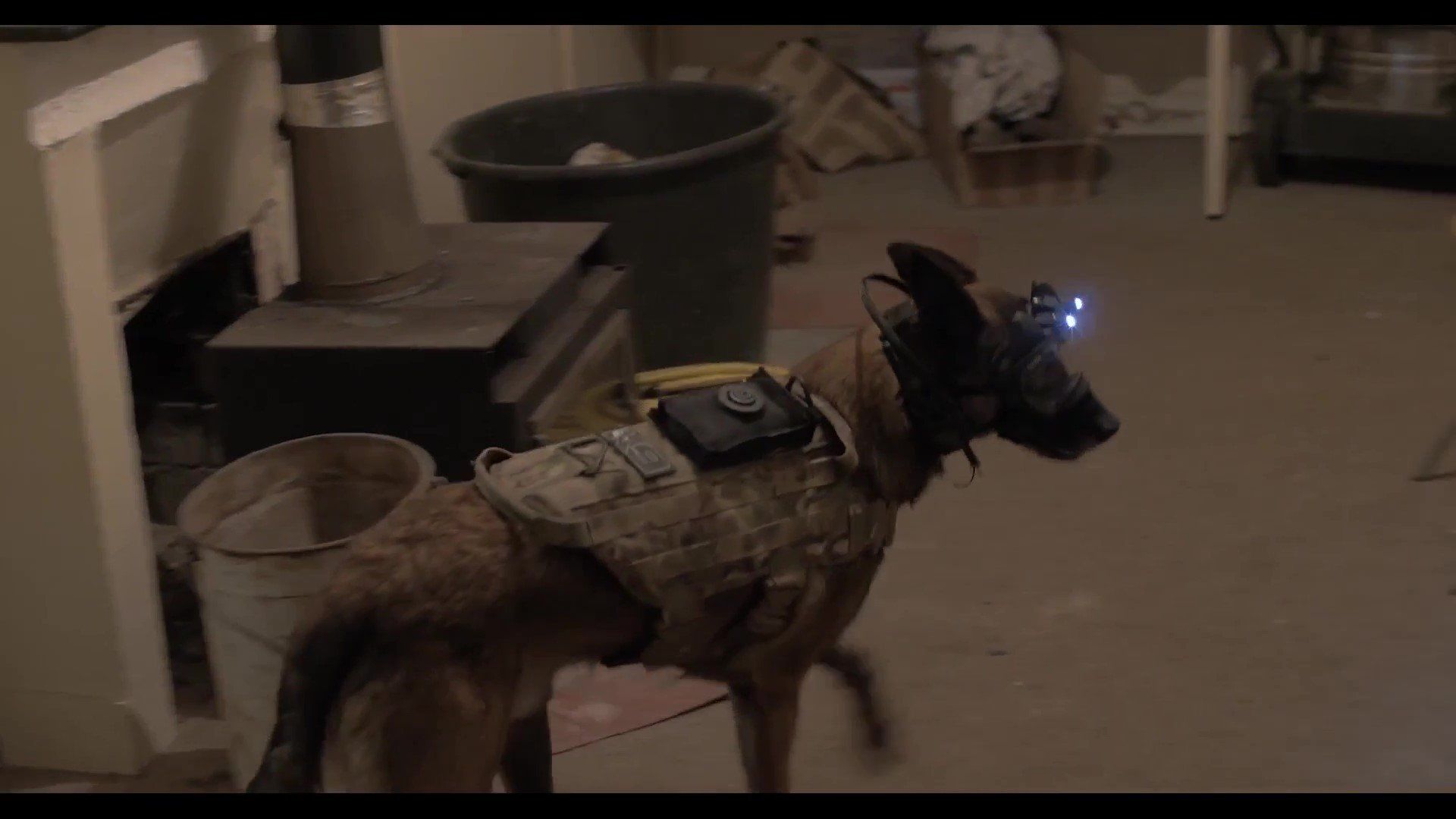 K9 supervision, dog goggle camera, see, listen, record