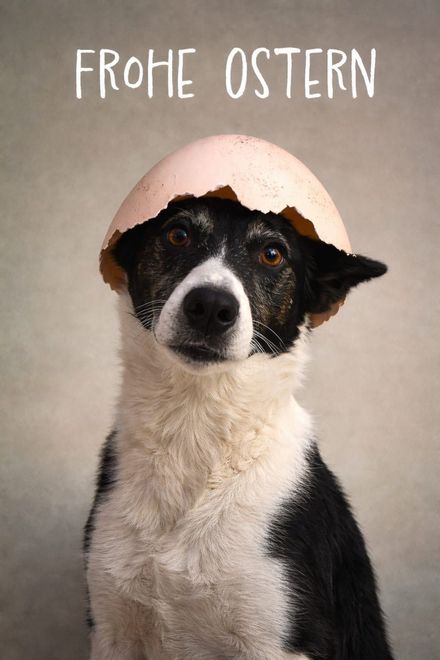 Wie riecht der Frühling?