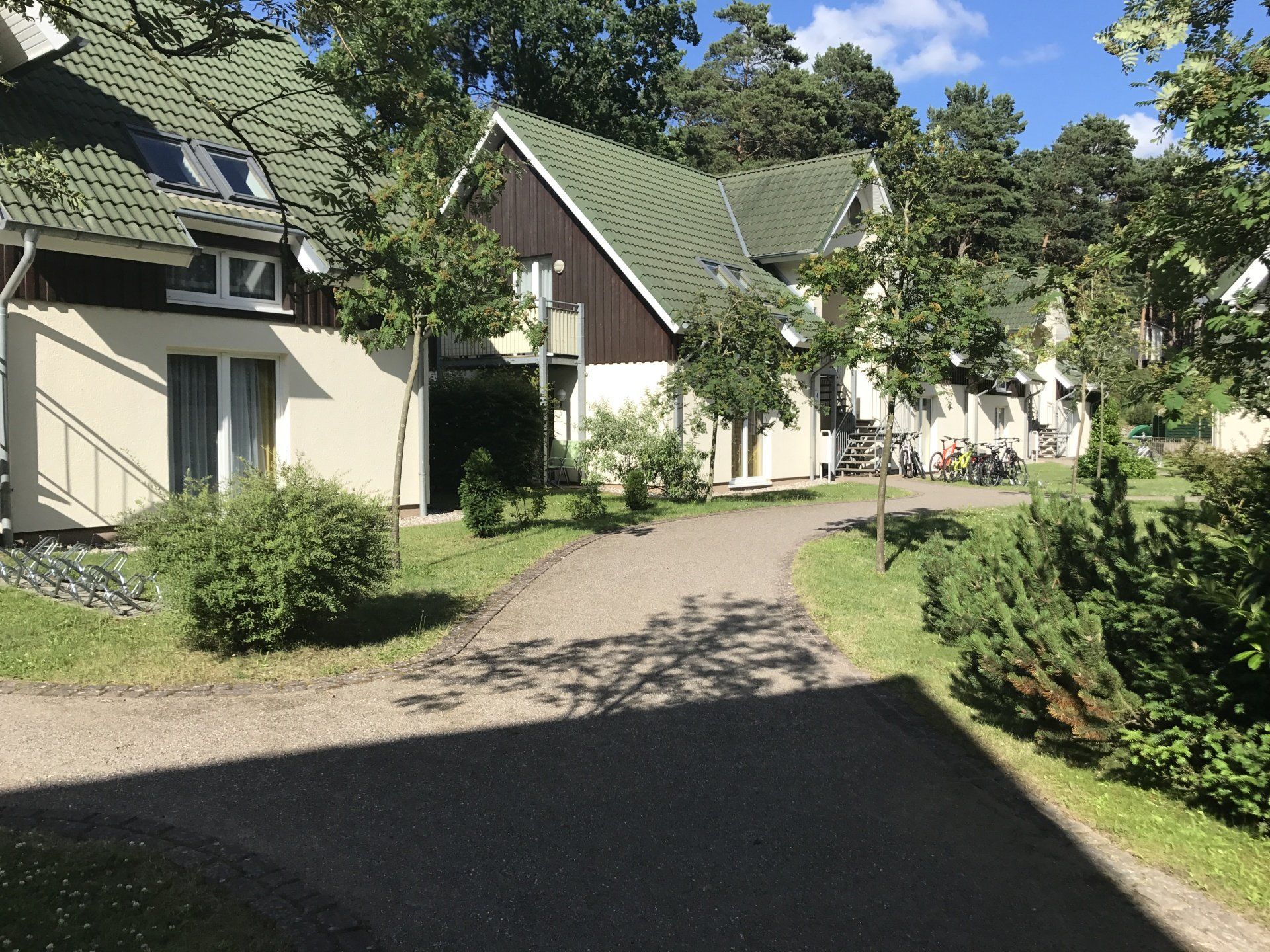 Strandidyll am Küstenwäldchen auf Usedom