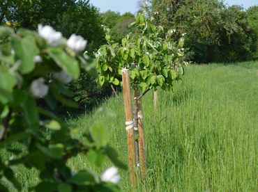 Veranstaltungen in Niddawitzhausen