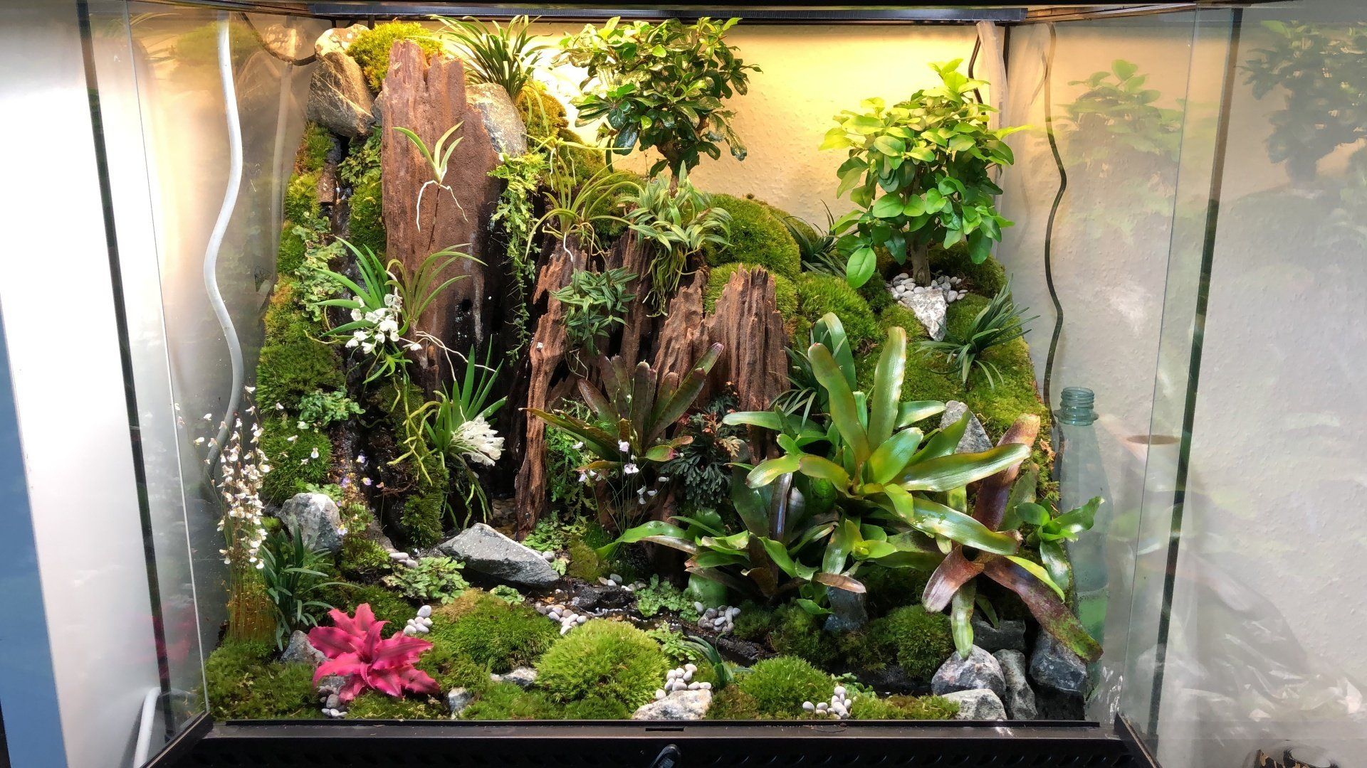 yupoo terrascape