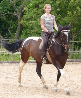 klassische Dressur, reiten, ausbildung