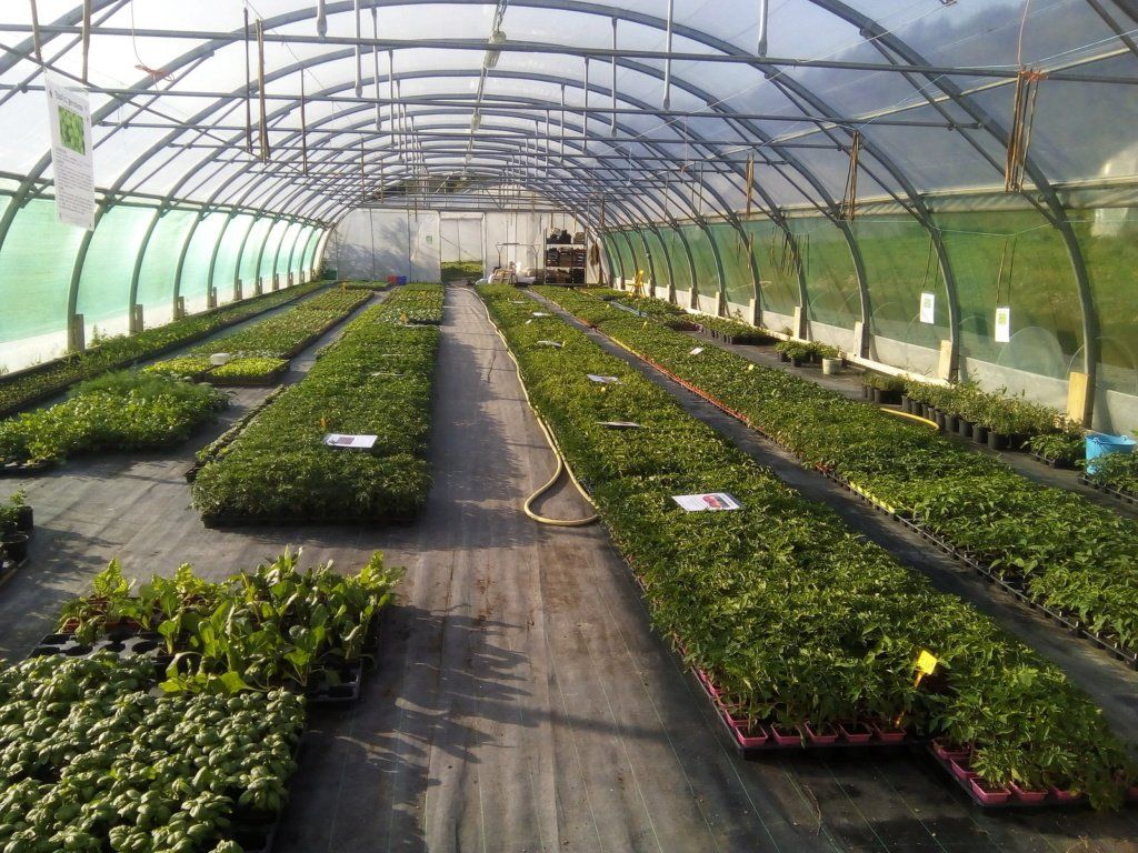 Les Jardins Bio Des Monts De Gy