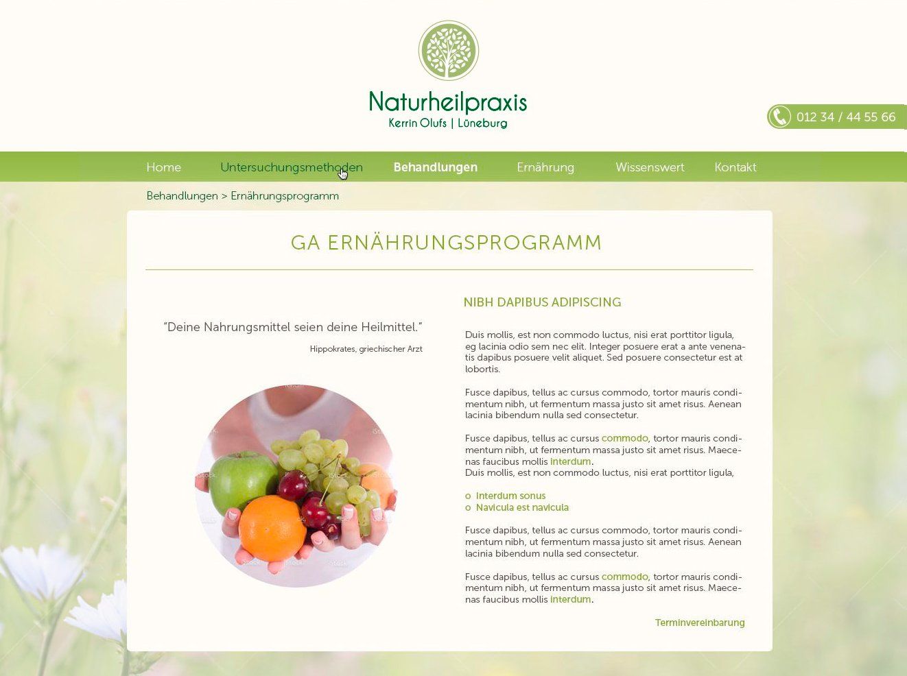 Naturheilpraxis Ernährungsprogramm