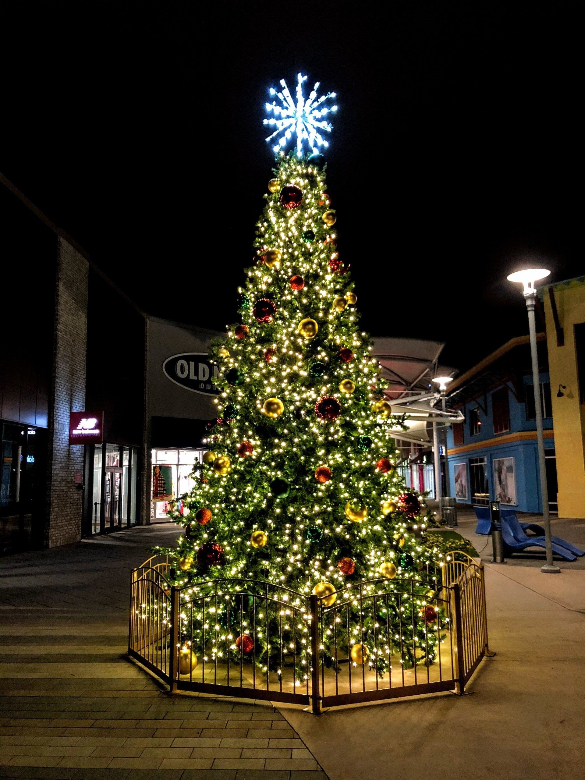 Commercial Christmas tree Broward, FL