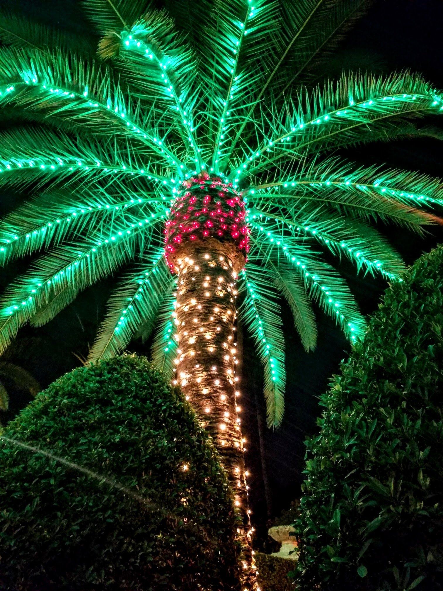 Christmas lights installation Ft. Lauderdale, FL
