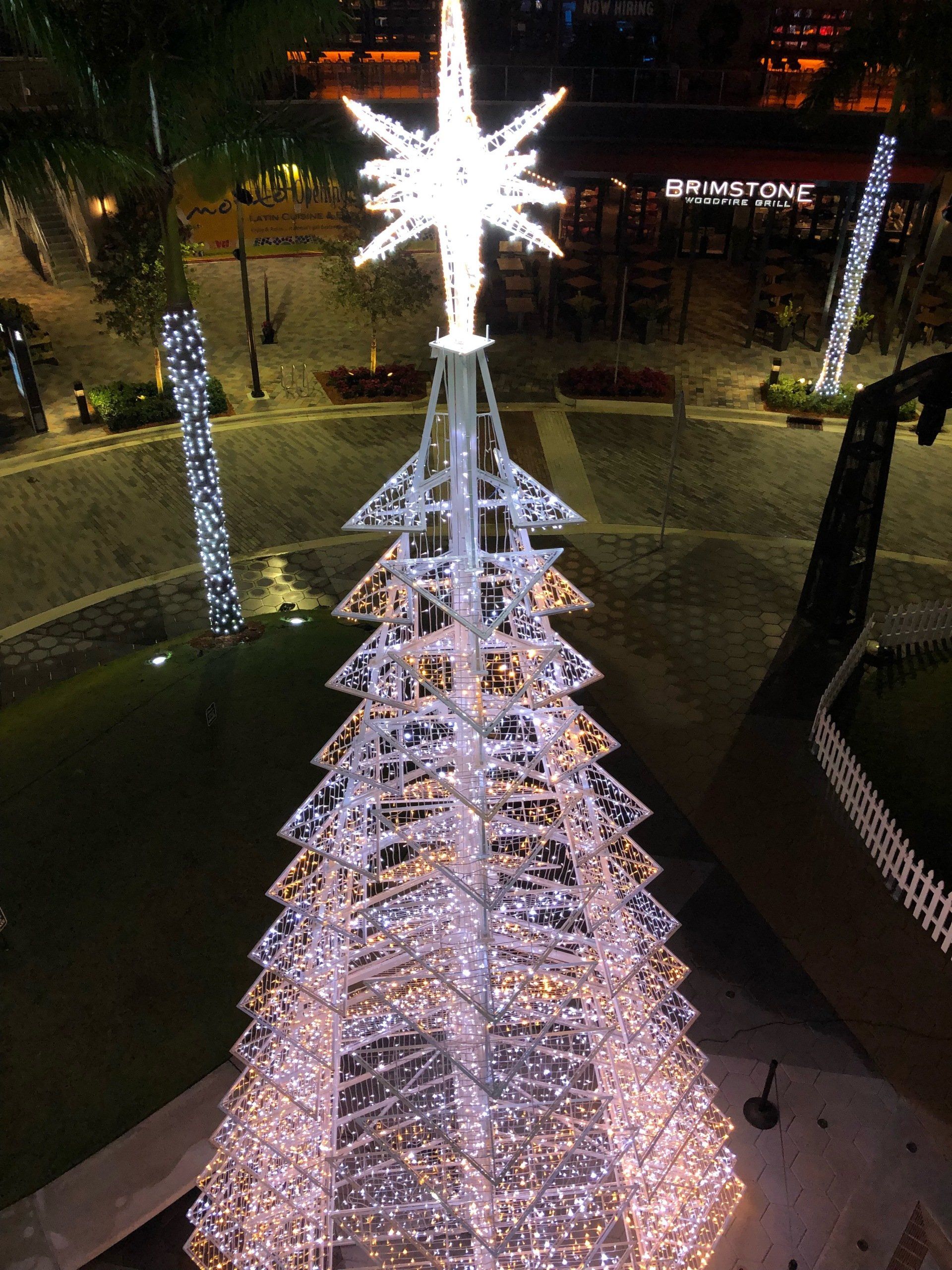 Color Changing Commercial Christmas tree Doral, FL