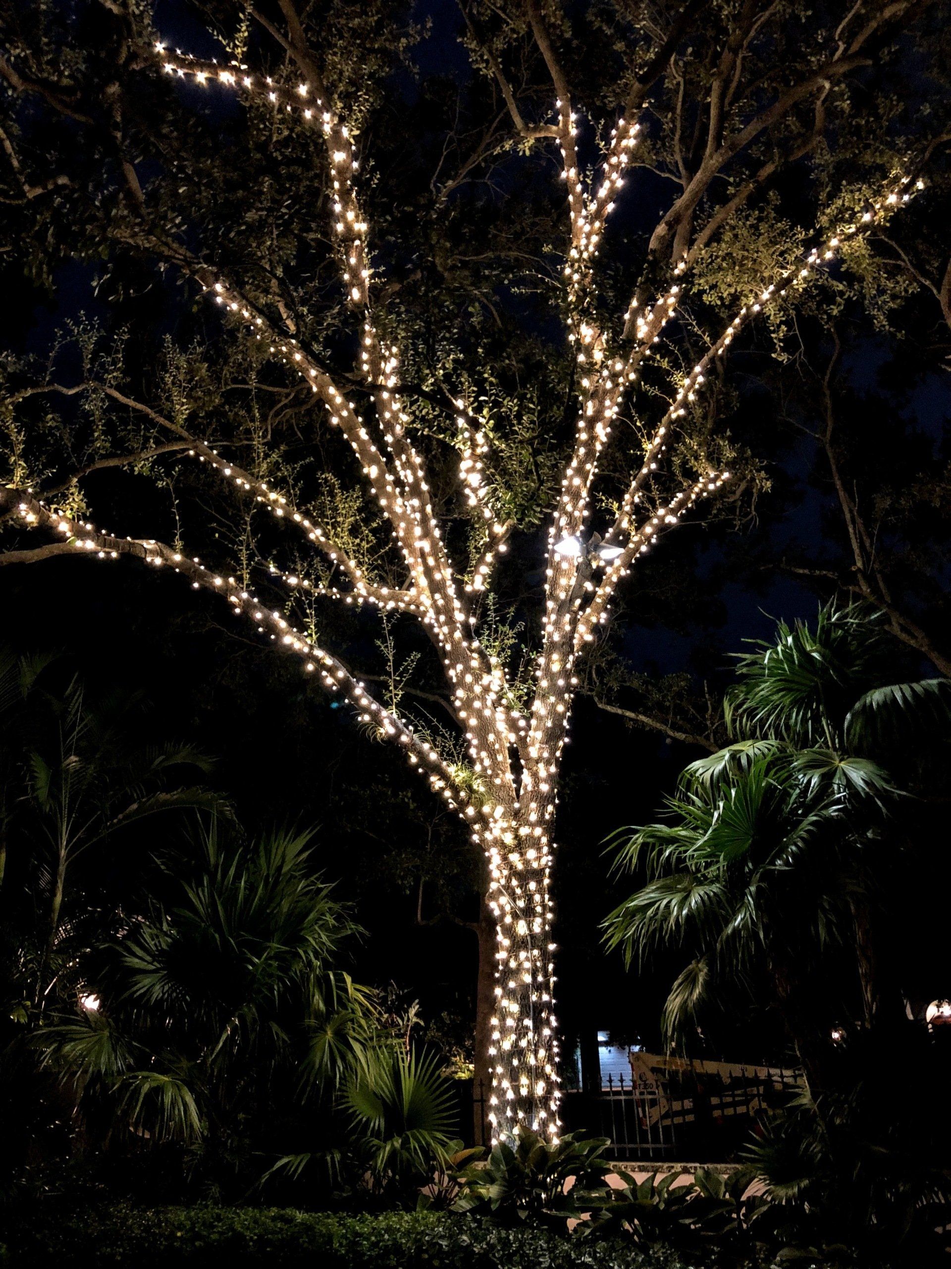 Christmas lights installation