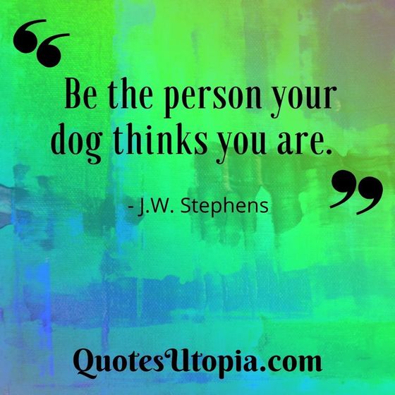 J. W. Stephens. Be the person your dog thinks you are.