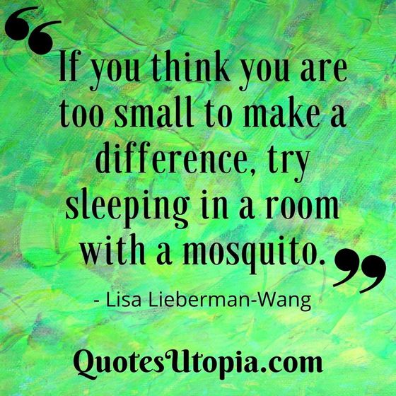 Lisa Lieberman-Wang. If you think you are too small to make a difference, try sleeping in a room with a mosquito.