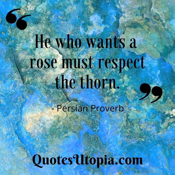 He who wants a rose must respect the thorn. Persian Proverb