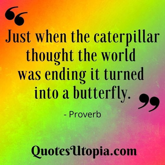 Proverb. Just when the caterpillar thought the world was ending it turned into a butterfly.