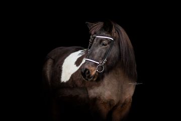 Reitpädagogik für Kinder auf meinem Pony. Mein Islandpony kommt zum Reiten für Kleinkinder zum Einsatz. Besuch uns bei den Ponyfreunden in Bruckmühl.