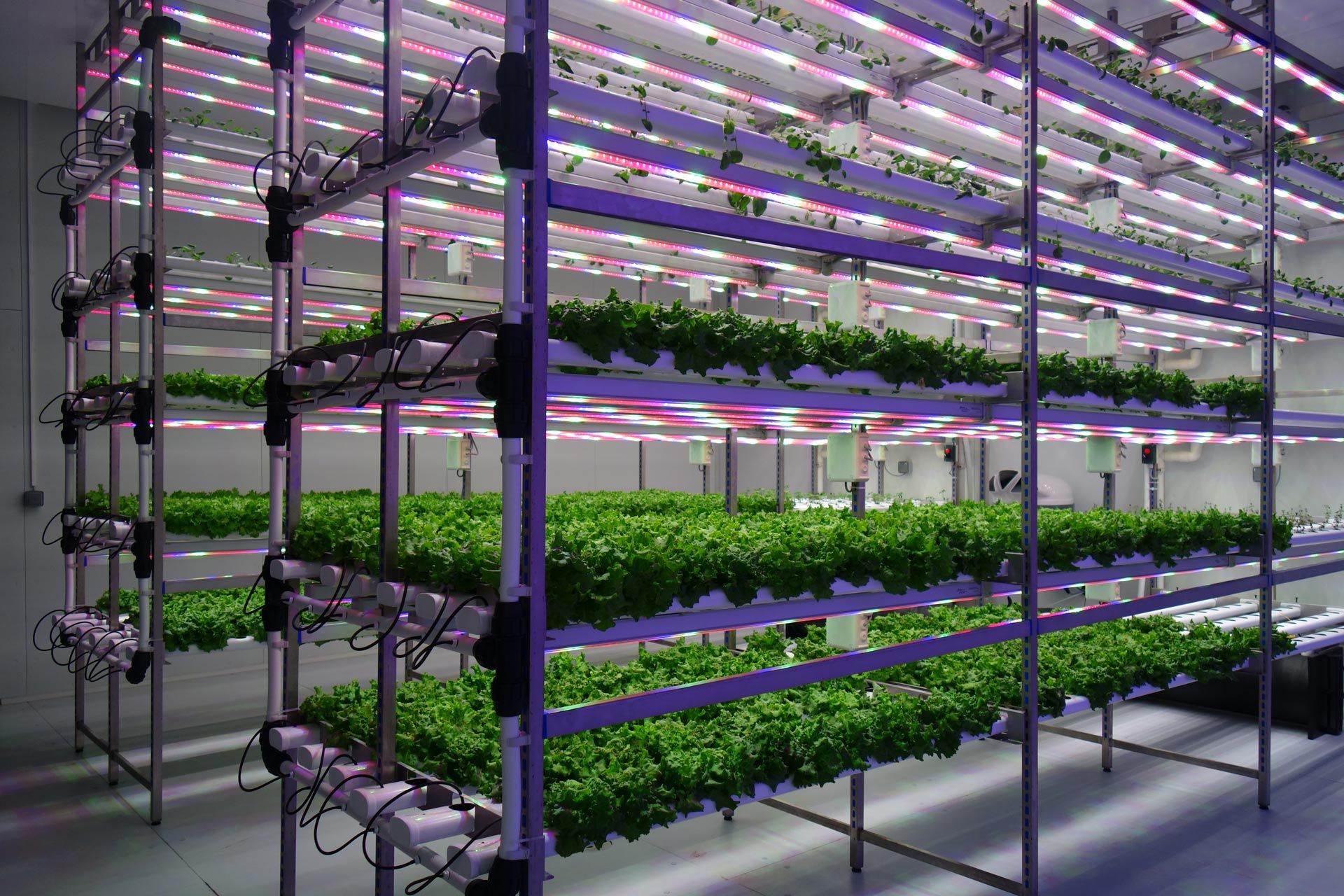 What Are the Advantages of Indoor Vertical Farming? - futuresoftech.com