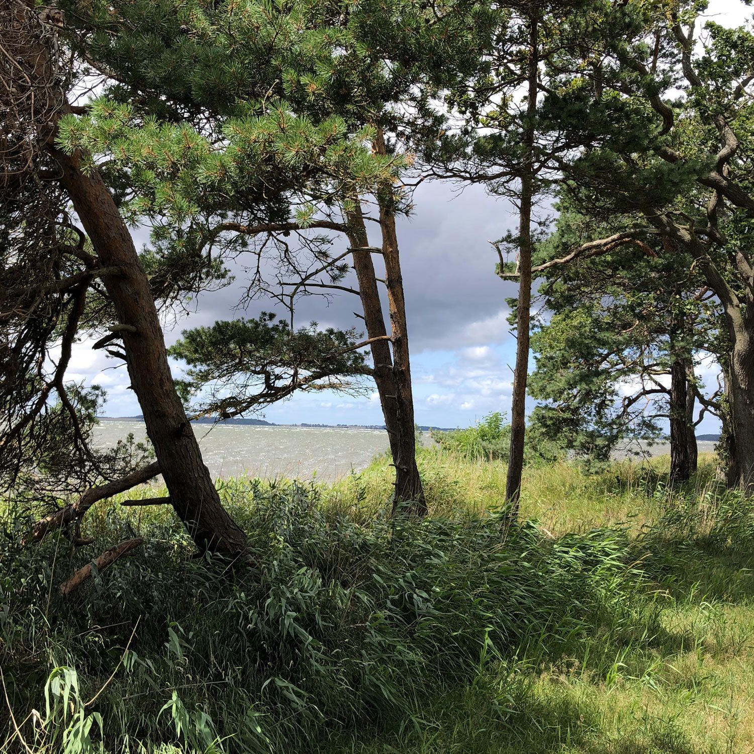 Glowe an der Ostsee - der Bodden