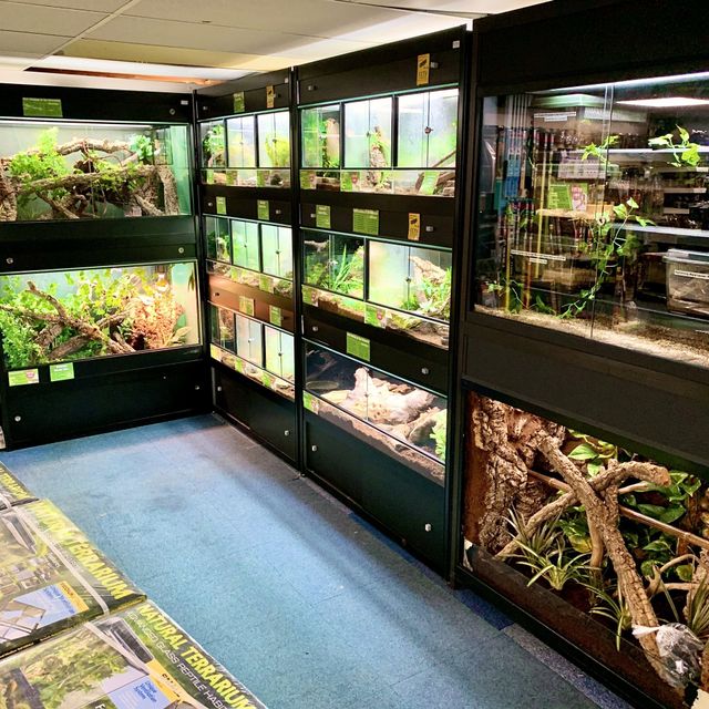 closest reptile store