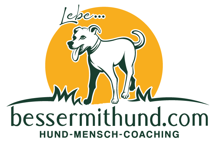 bessermithund.com