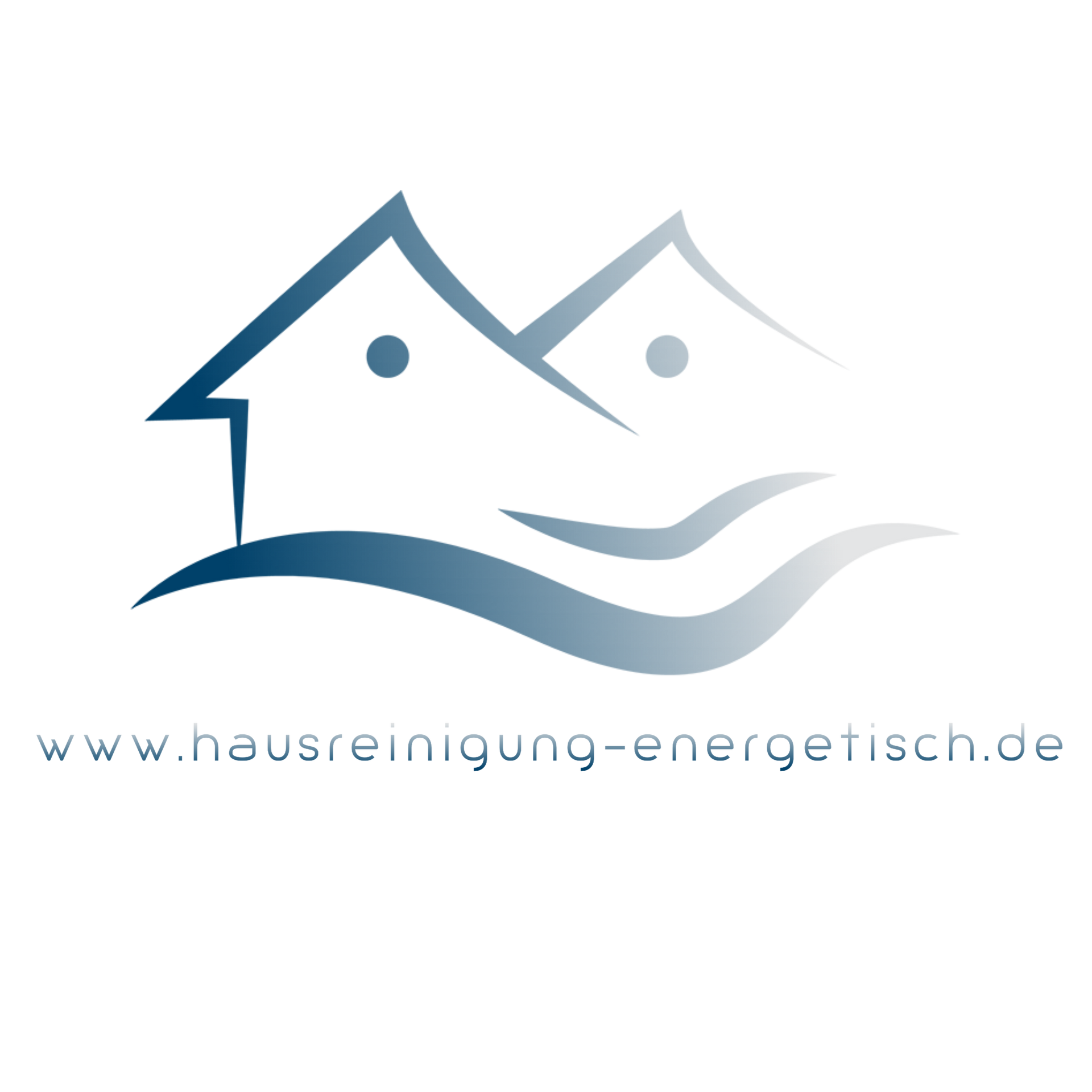 www.hausreinigung-energetisch.de