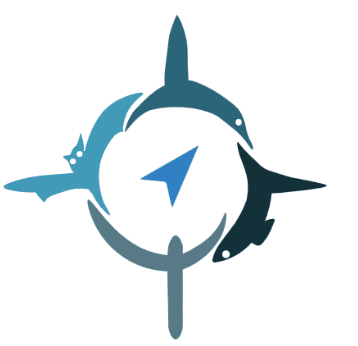 Sfb 1372 Magnetoreception And Navigation In Vertebrates sfb 1372 magnetoreception and